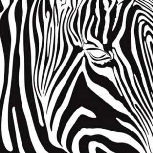 Nail Hugs # 40 Eye of the Zebra